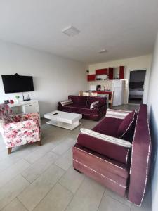 TV a/nebo společenská místnost v ubytování Apartments Bibic