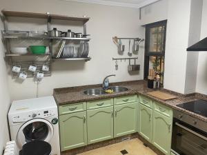 a kitchen with a sink and a washing machine at Figueroa Apartments in Pontevedra