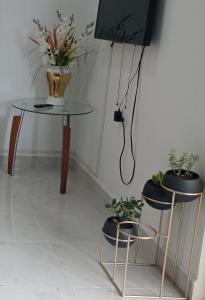 Μια τηλεόραση ή/και κέντρο ψυχαγωγίας στο Suite Amaris LC