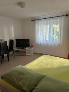 a bedroom with a bed and a flat screen tv at Apartment Anić in Šmrika