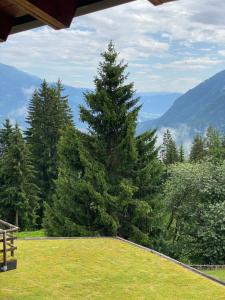 Phong cảnh thiên nhiên gần căn hộ