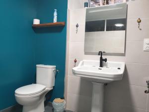 a bathroom with a white toilet and a sink at Le Duplex in Vatan