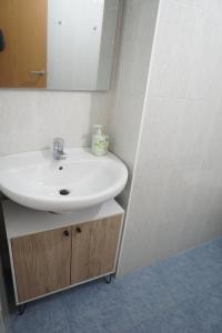 a bathroom with a white sink and a mirror at Casa Fausto Lasarte-oria in Lasarte