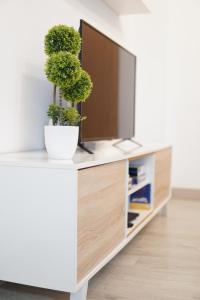 a tv on a cabinet with a potted plant on it at Casa Fausto Lasarte-oria in Lasarte