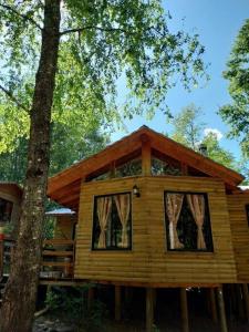 a log cabin in the woods with a tree at Cabañas villa ojen la pinta número 4 in Caburgua
