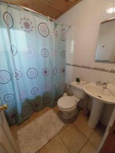 a bathroom with a toilet and a sink at Cabañas villa ojen la pinta número 4 in Caburgua