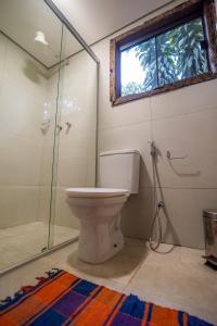un bagno con wc e doccia in vetro di Pousada Passaredo a Brumadinho