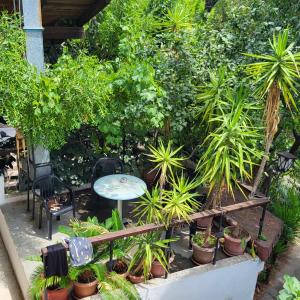 En have udenfor Hostel Varna Botanika