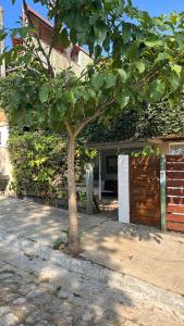a tree in front of a house with a garage at Bossa Nova Búzios Pousada Home in Búzios