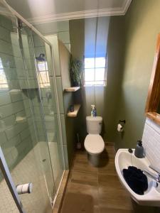 a bathroom with a shower and a toilet and a sink at Kanana Villas in Maun +6 photos