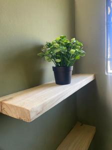 Fotografie z fotogalerie ubytování Kanana Villas v destinaci Maun