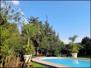 a swimming pool in a yard with trees at Hotel Rio Tequisquiapan in Tequisquiapan