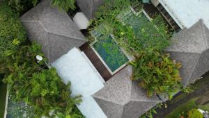 an overhead view of a garden with a swimming pool at Bingin Castaways in Uluwatu