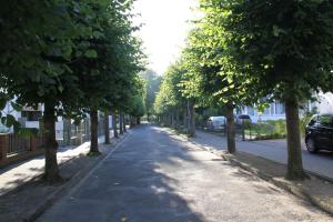 an empty street with trees on the sides of the road at Villa Gutenberg in Binz