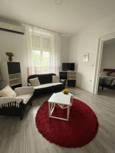 a living room with a couch and a red rug at Apartment Milijana in Subotica
