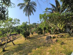Ein Garten an der Unterkunft Sairee View Resort