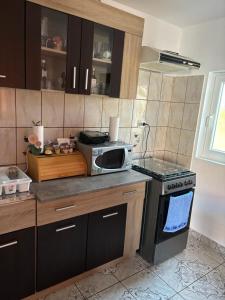 Fotografie z fotogalerie ubytování Casa Iulia v destinaci Eşelniţa