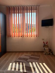 a room with a large window and a dog sitting on the floor at Casa Iulia in Eşelniţa