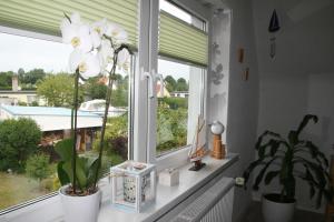 Κήπος έξω από το Ferienwohnung Maritim Ostseebad Rerik