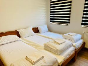 two twin beds sitting next to each other in a room at Cabana din munte in Moroeni