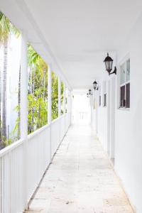 een gang van een wit gebouw met palmbomen bij Spacious Apt in the heart of South Beach in Miami Beach