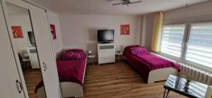 TV a/nebo společenská místnost v ubytování Ferienwohnung Burger Heide