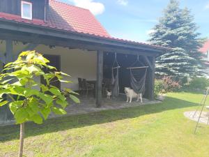 Domáce zviera alebo zvieratá hostí v ubytovaní Agroturystyka Pod Pstrągiem