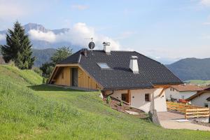 拉伊翁Chalet Roderer的草山边的房子