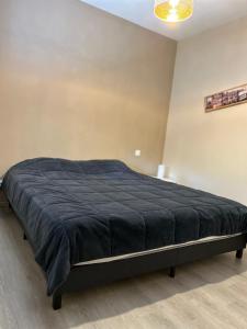 a bedroom with a large bed with a blue blanket at VILLA TRANQUILLE in Fréjus +10 photos