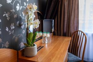Fotografie z fotogalerie ubytování Baltic Inn v destinaci Pogorzelica