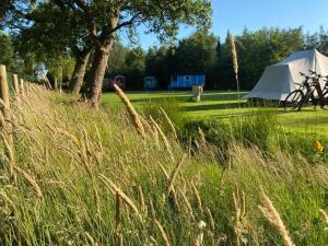 a field of tall grass with a white tent at Pipowagens bij Pannenkoekenrestaurant & Camping De Koppenjan 'Een uniek verblijf met kinderspeelboerderij' in Jubbega-Schurega
