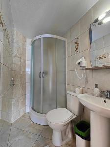 ein Badezimmer mit Dusche, Toilette und Waschbecken in der Unterkunft Sichlański Zakątek in Murzasichle + 37 Fotos