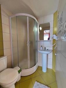 ein Badezimmer mit Dusche, Toilette und Waschbecken in der Unterkunft Sichlański Zakątek in Murzasichle