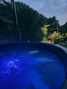 a blue tub filled with water in a yard at Casa- viata la tara in Bucureşci