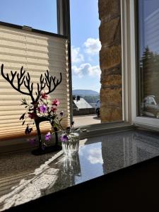 Peisaj natural din apropierea acestui apartament