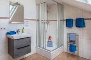 a bathroom with a shower and a sink at Sport Rees - Ferienwohnung Pia in Hofsgrund +30 photos