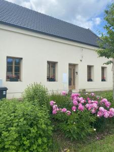 biały dom z różowymi kwiatami przed nim w obiekcie Apartmány Mikulčice w mieście Mikulčice