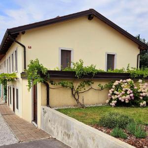 Zahrada ubytování Apartma Kras