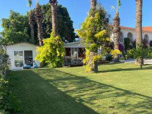 a house with palm trees in the yard at BURÇ HOTEL in Dalaman +13 photos