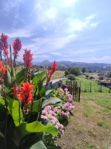 a garden of flowers with a view of a field at Casa Malba in Sevares
