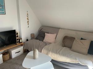 Una sala de estar con un sofá y un televisor. en Le 105 - appart-sympa - T2 vue jardin et cave - Larmor-Plage, en Larmor-Plage