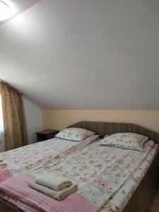 a bed with two pillows on it in a bedroom at Casa Ana in Bistra +15 photos