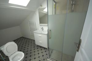 Un baño con ducha, inodoro y lavabo. en Maison avec terrasse 2 min gare, en Conflans-Sainte-Honorine