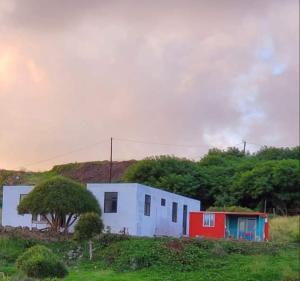 ein Haus auf einem Feld neben einem Baum in der Unterkunft Petite maison de tôle Rodriguaises in Tambe + 8 Fotos