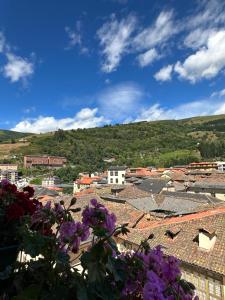 a view of a town with roofs and flowers at CLAREN´S BOUTIQUE ROOMS in Cangas del Narcea
