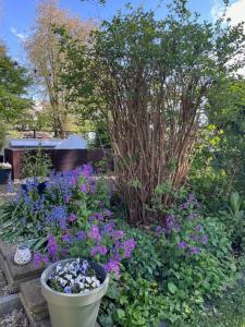 Bed and breakfast private accommodation at Amsterdam Houseboat外面的花园
