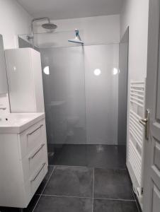 a white bathroom with a shower and a sink at Chez Paul et Mélusine in Périgueux