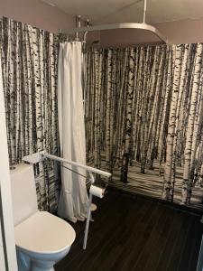 Koupelna v ubytování Hotell Smedjan