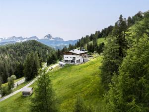 a house on a grassy hill with a road at Bio Alpine Hotel Gran Fodà in San Vigilio Di Marebbe