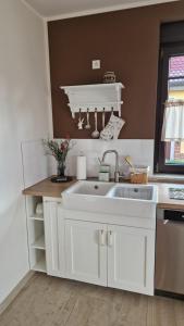 Kuchyň nebo kuchyňský kout v ubytování Apartment Leopold